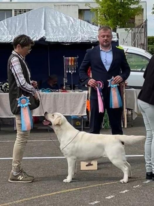 of misty dreams - Pipa gagne à la RE RCF de St Pouange 2024