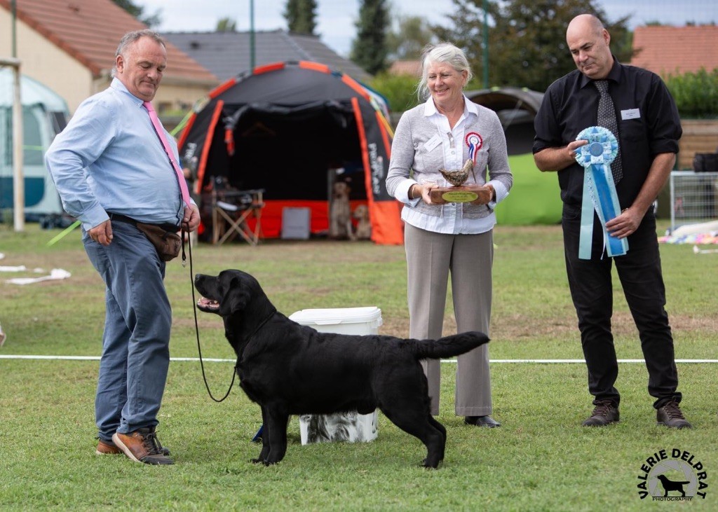 of misty dreams - Grizzly est Champion de France