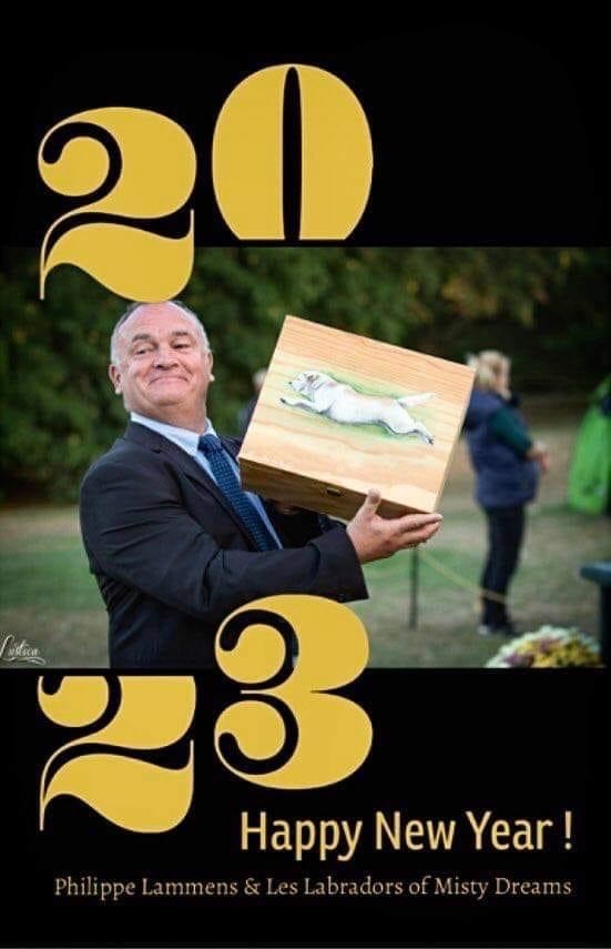 of misty dreams - Tous nos voeux pour 2023